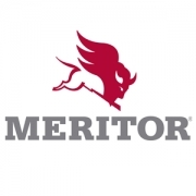 MERITOR TYPE